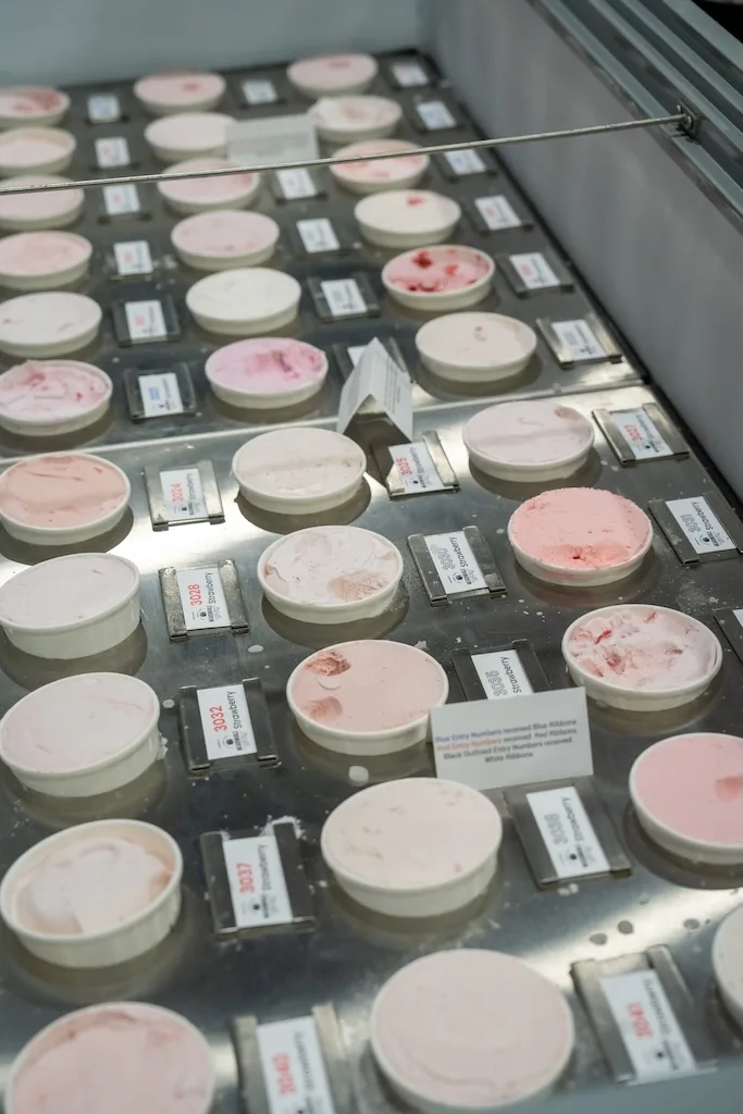 Ice Cream Testing - NAICA CONE 2025